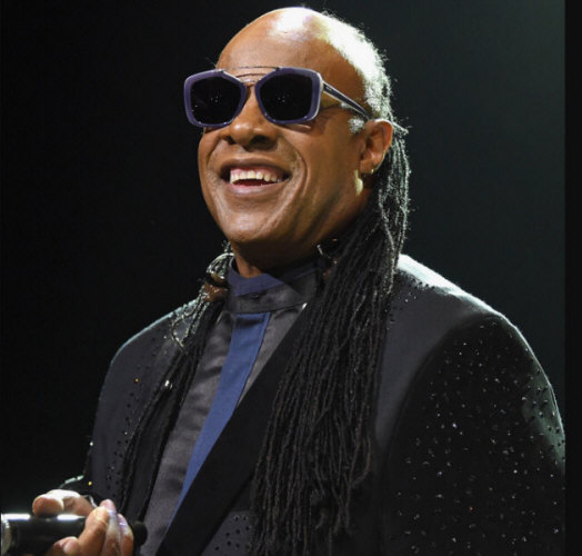 Hire STEVIE WONDER.  Save Time.  Book Using Our #1 Services.