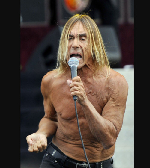 Hire IGGY POP. Save Time. Book Using Our #1 Services.