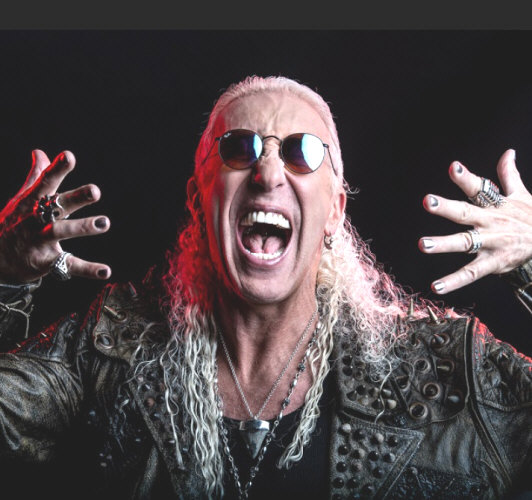 Hire DEE SNIDER. Save Time. Book Using Our #1 Services.