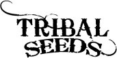 Hire Tribal Seeds - Booking Information