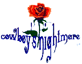 Hire Cowboy's Nightmare - Booking Information