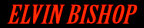 Hire Elvin Bishop - Booking Information