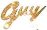 Hire GUY - Booking Information