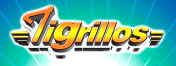 Hire Los Tigrillos - Booking Information