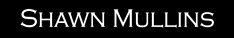 Hire Shawn Mullins - Booking Information