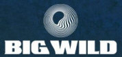 Hire Big Wild - Booking Information