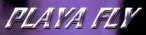 Hire Playa Fly - Booking Information
