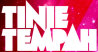 Hire Tinie Tempah - Booking Information